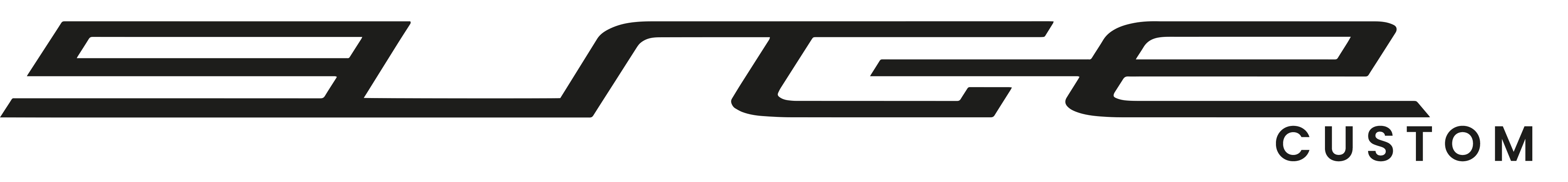 Custom-Surge-logo