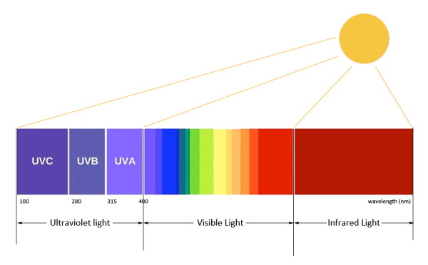 all-light-spectrum all-light-spectrum