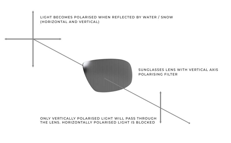 polarisarion-infographic