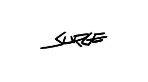 surge-slider-surge